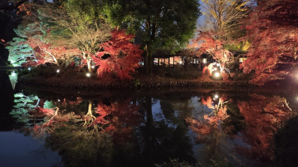 町田市の「薬師池公園」のライトアップを見て来ました。24