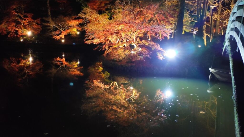 町田市の「薬師池公園」のライトアップを見て来ました。27