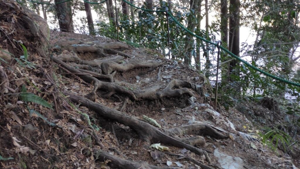 城山公園の「飯縄神社」で初詣＆登頂してきました。07
