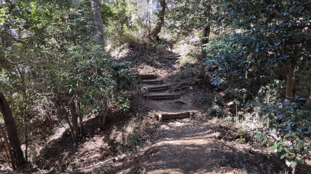 城山公園の「飯縄神社」で初詣＆登頂してきました。37