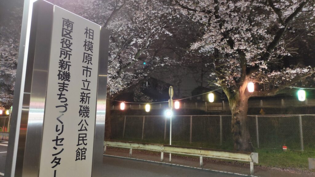 「新磯公民館」近くで行われている桜のライトアップを見てきました。04