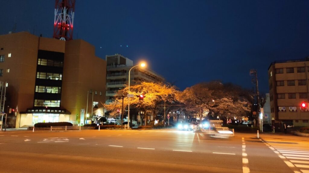 相模原市役所前の桜のライトアップを見てきました。01