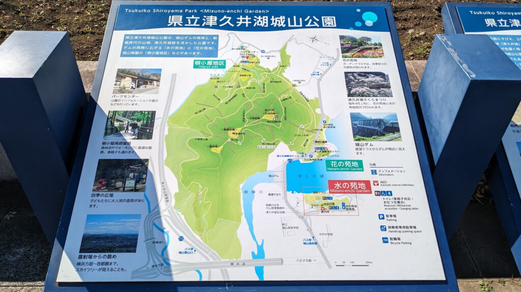 津久井湖城山公園「水の苑地」へ行ってきました。03