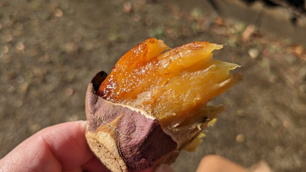 矢部の焼き芋専門店「イモンチ」さんの焼き芋、美味しかったです。13