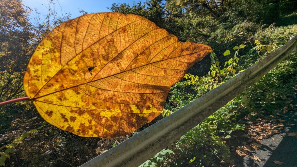 藤野の ”芸術の道”　を散歩してきました。19