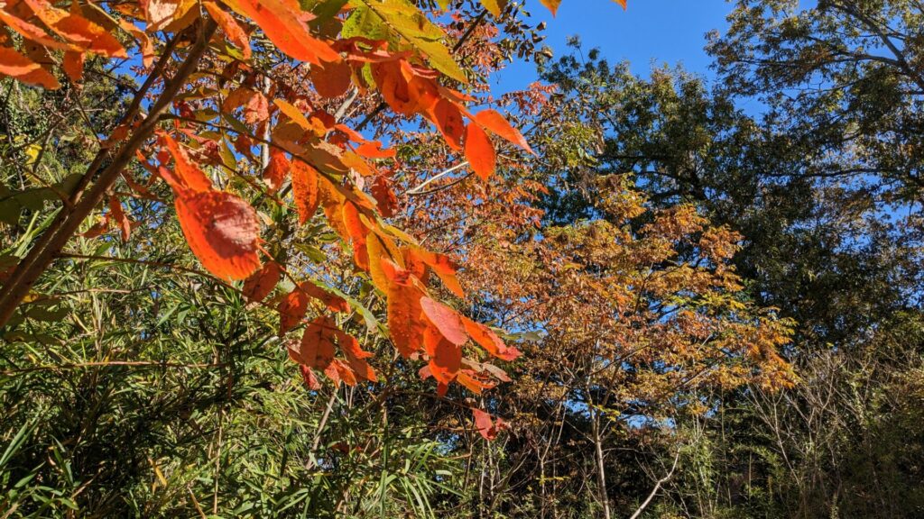 藤野の ”芸術の道”　を散歩してきました。42