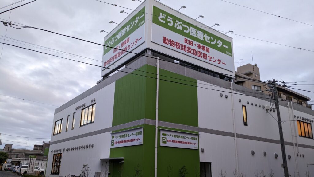 古淵の「ぺてもどうぶつ医療センター」さんが移転OPENされました。04