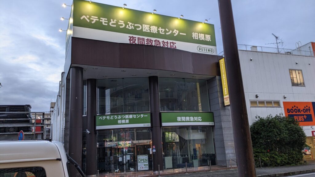 古淵の「ぺてもどうぶつ医療センター」さんが移転OPENされました。07