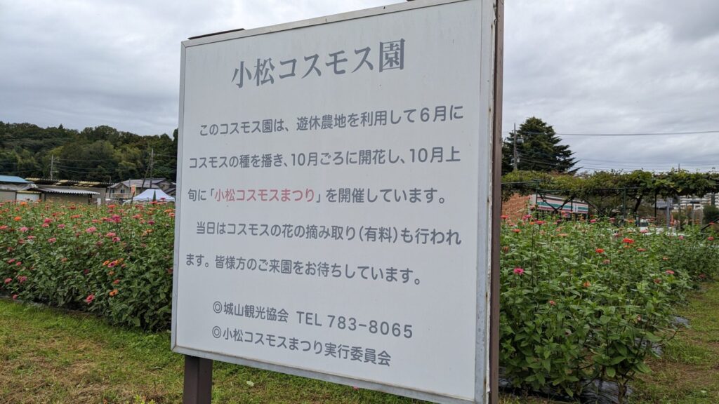 緑区の「小松コスモス園」さんのコスモスを見てきました。05