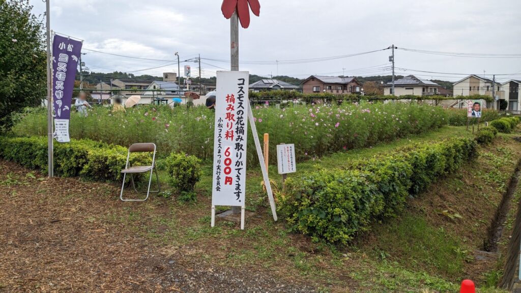 緑区の「小松コスモス園」さんのコスモスを見てきました。08