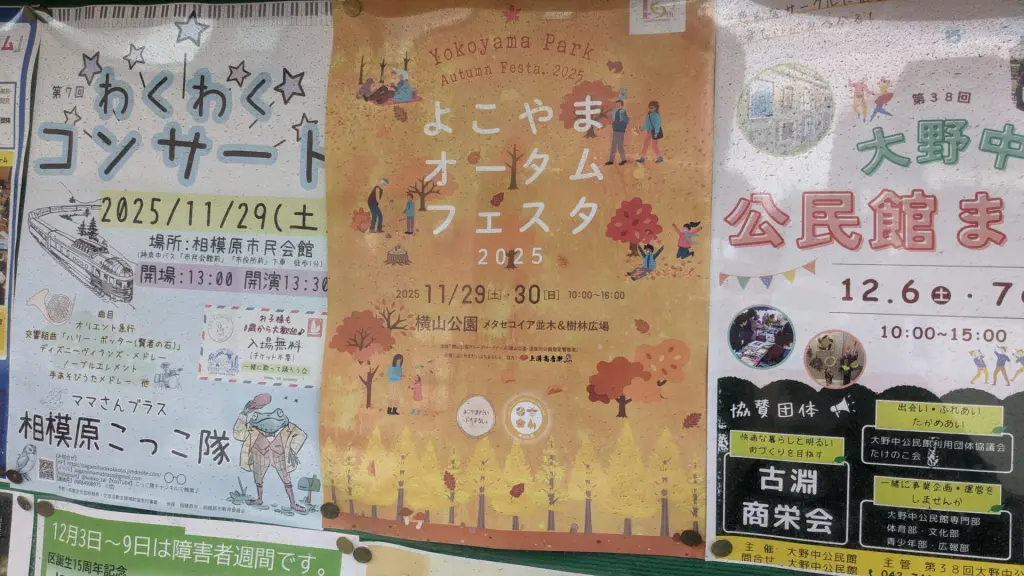 今週末、横山公園にて ”よこやまオータムフェスタ” が開催です。01