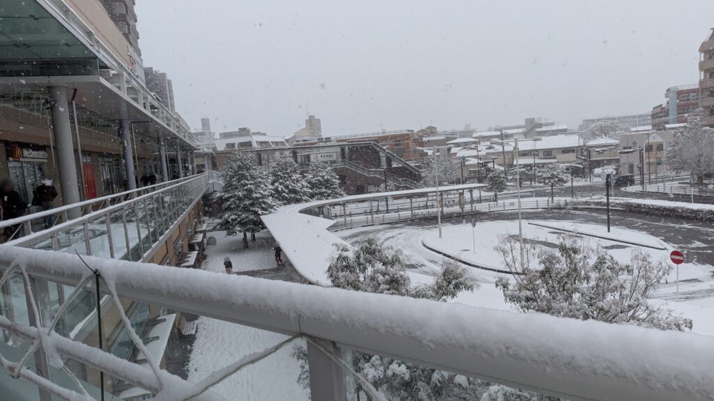 2026年2月8日（日）の相模原市内の雪の様子まとめ。10