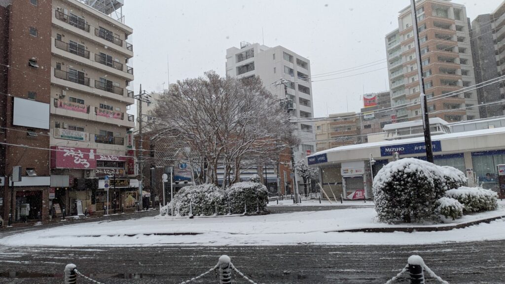 2026年2月8日（日）の相模原市内の雪の様子まとめ。12
