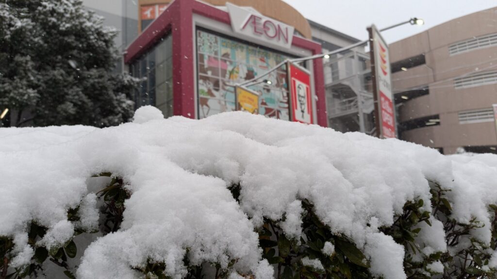 2026年2月8日（日）の相模原市内の雪の様子まとめ。16