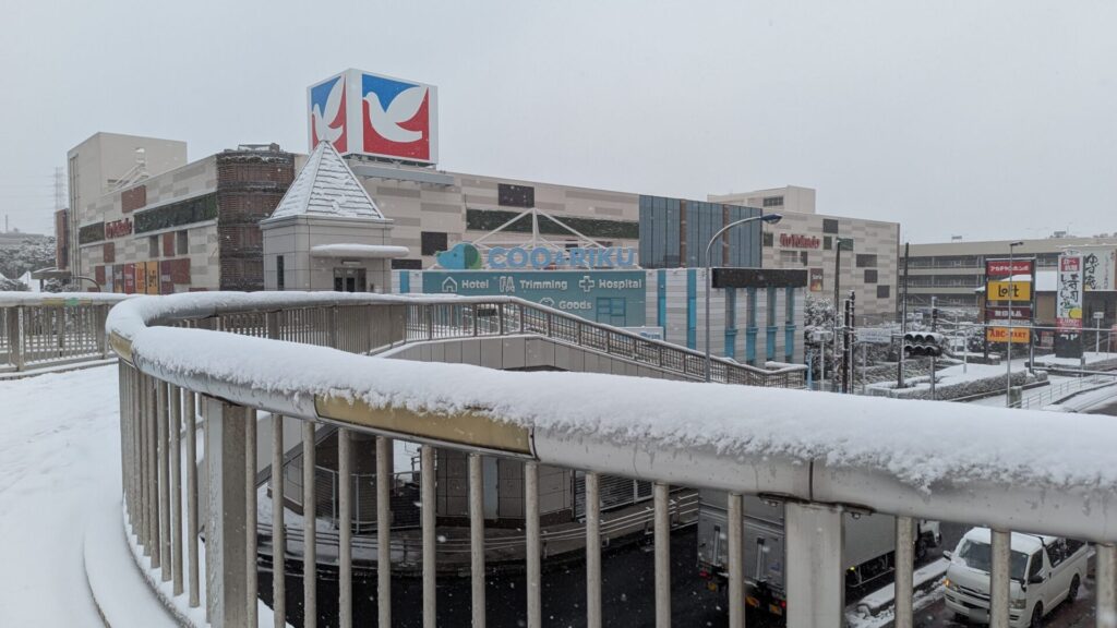 2026年2月8日（日）の相模原市内の雪の様子まとめ。18