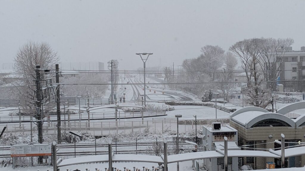 2026年2月8日（日）の相模原市内の雪の様子まとめ。22