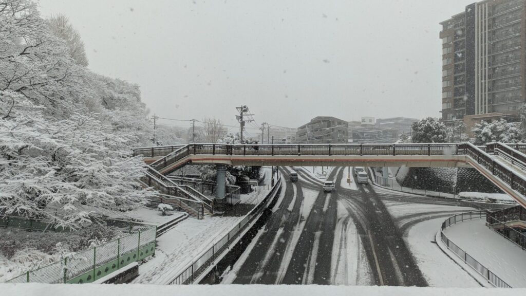 2026年2月8日（日）の相模原市内の雪の様子まとめ。31