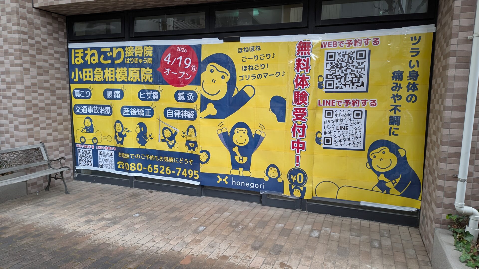 「ほねごり接骨院・針きゅう院」小田急相模原院さんがOPENしました。03