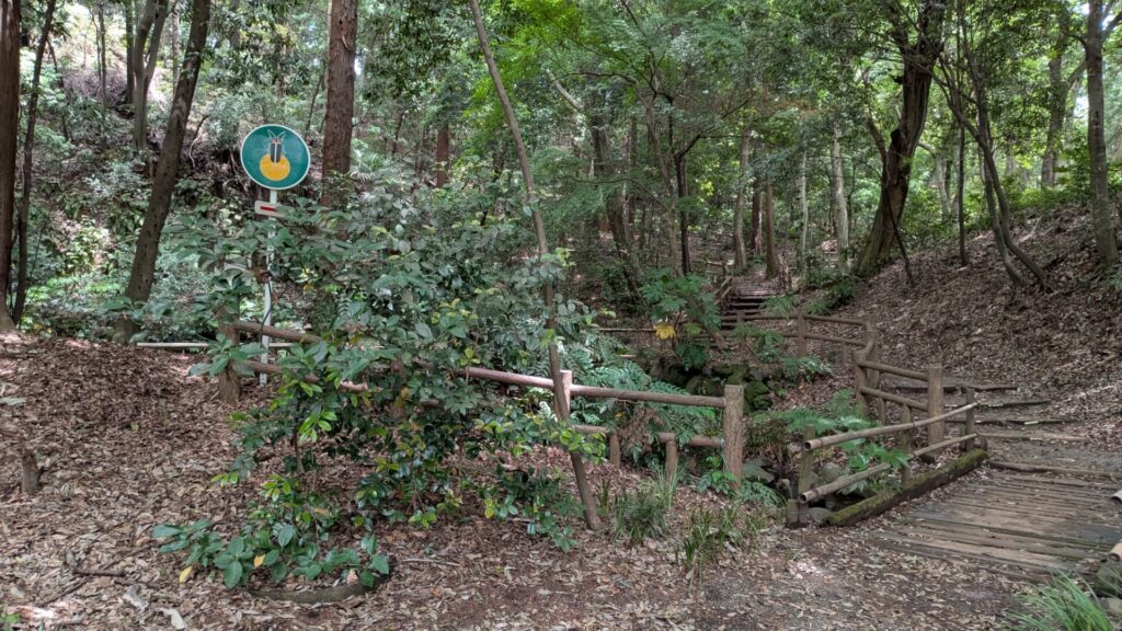 道保川公園のホタル観賞のための夜間開園。04
