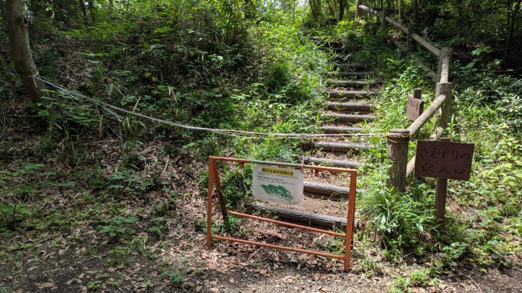 道保川公園のホタル観賞のための夜間開園。06
